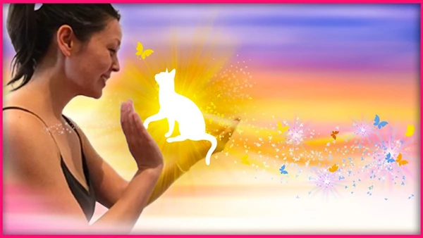 Melissa Crowhurst - Animal & Pet Reiki Energy Healing Certification Course (Download)