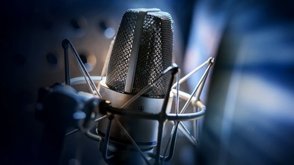 Laci Morgan - Be a Voice Actor: Making a Living with Your Voice (Download)