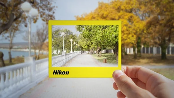 Beginner Nikon Digital SLR (DSLR) Photography (Download)