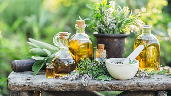 Dr Paul Greham – Fully Accredited Certificate in Natural Medicine & Herbalism (Download)