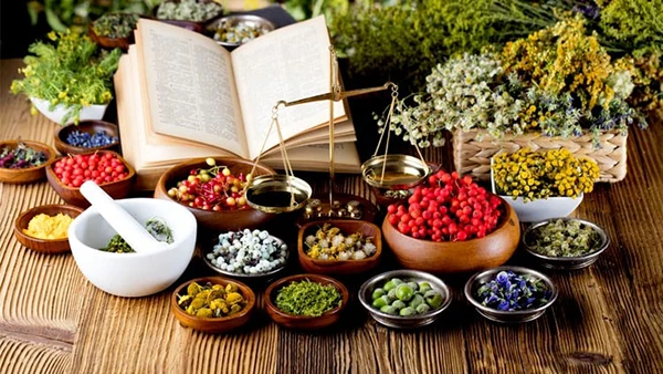 Herbalism For Everyone - Professional Herbalism Course (Download)