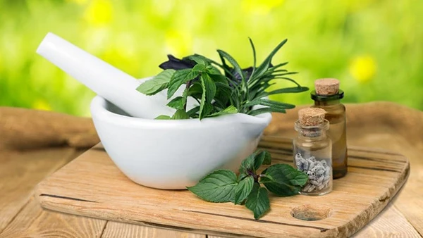 Herbalism :: Introduction & Medicine Making Certificate (Download)
